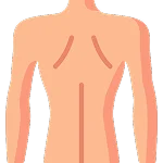 Back